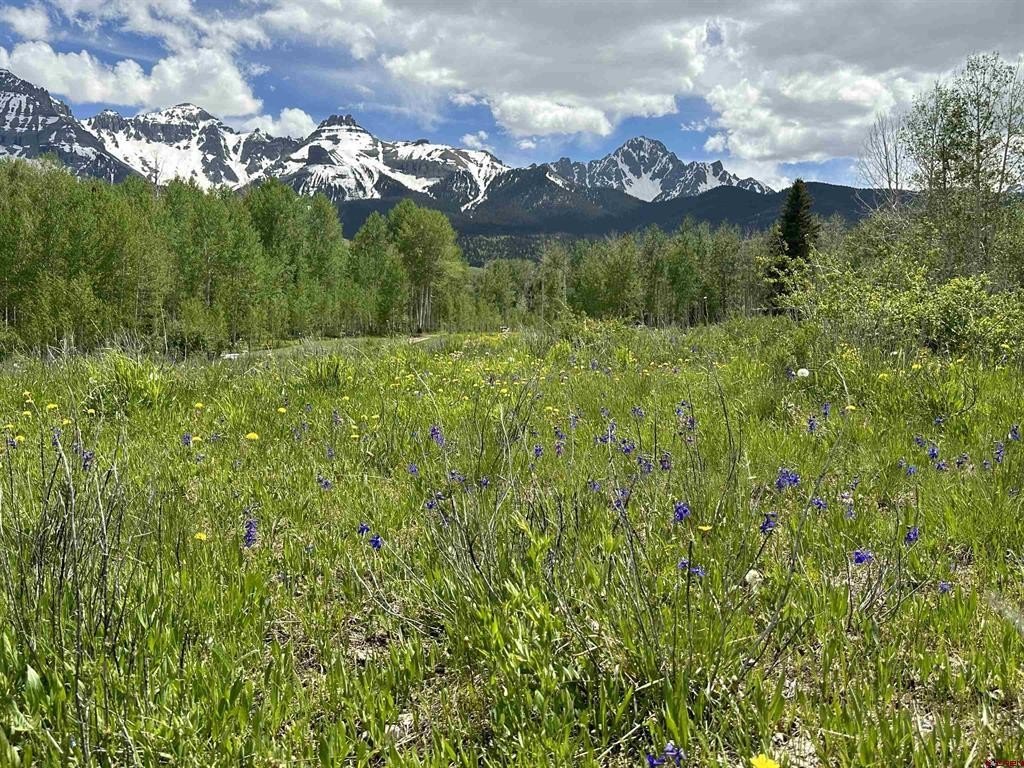 Picture 10
