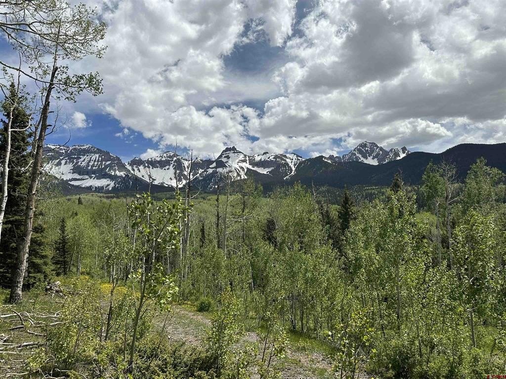 Picture 18