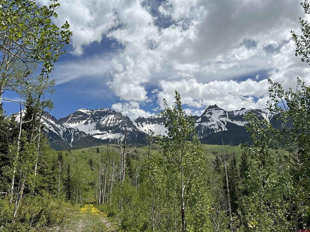 Ridgway Land For Sale