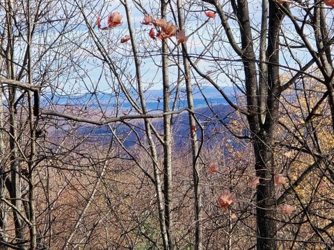 Land, Thaxton, VA