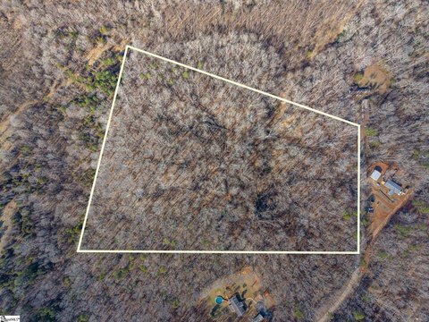 Residential Land with Timber