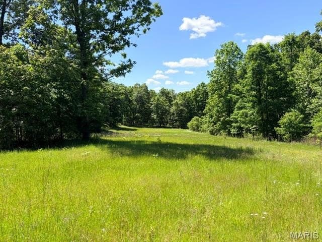 125 Acres Hunting/Wildlife Paradise