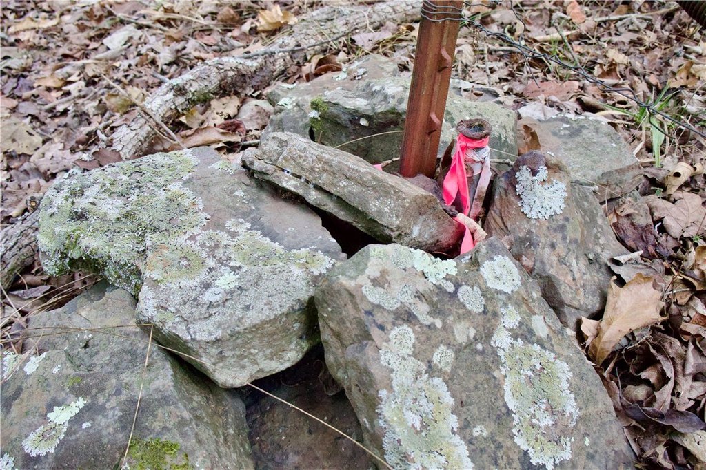 Picture 29