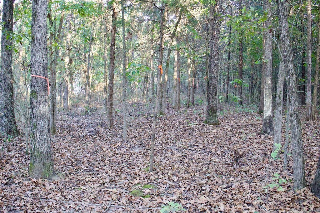 Picture 15