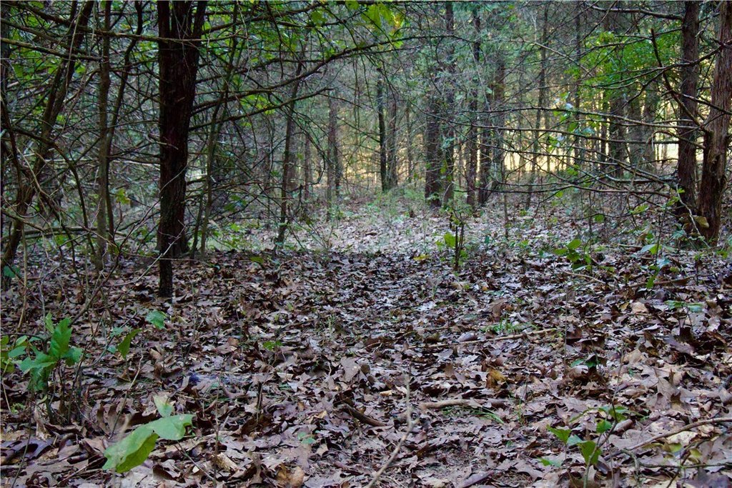 Picture 46