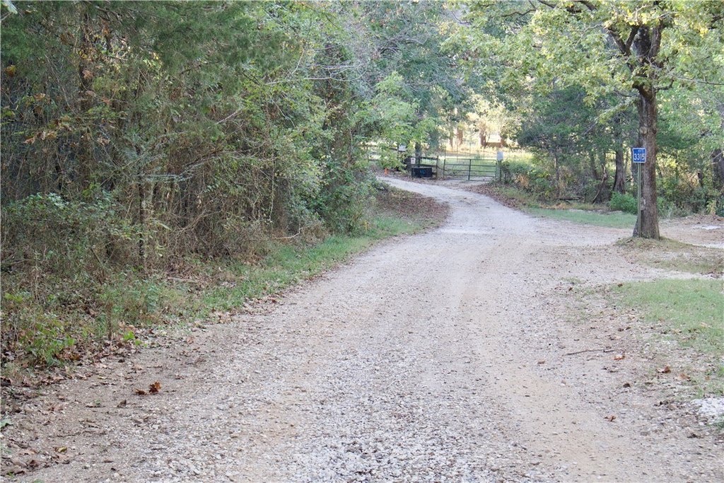 Picture 11