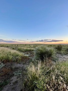 Marfa Land in Antelope Hills