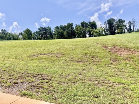 Land, Morristown, TN