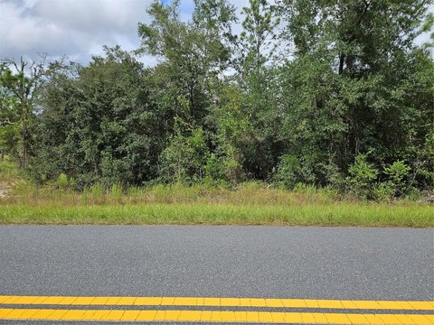 Land, DUNNELLON, FL