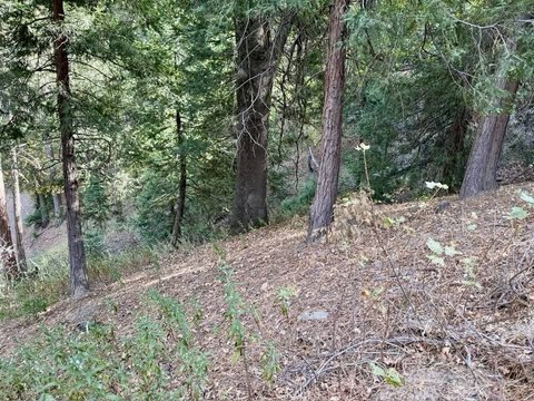 Three-Lot Residential Land Parcel