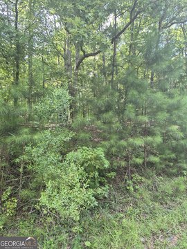 Wooded Residential Homesite