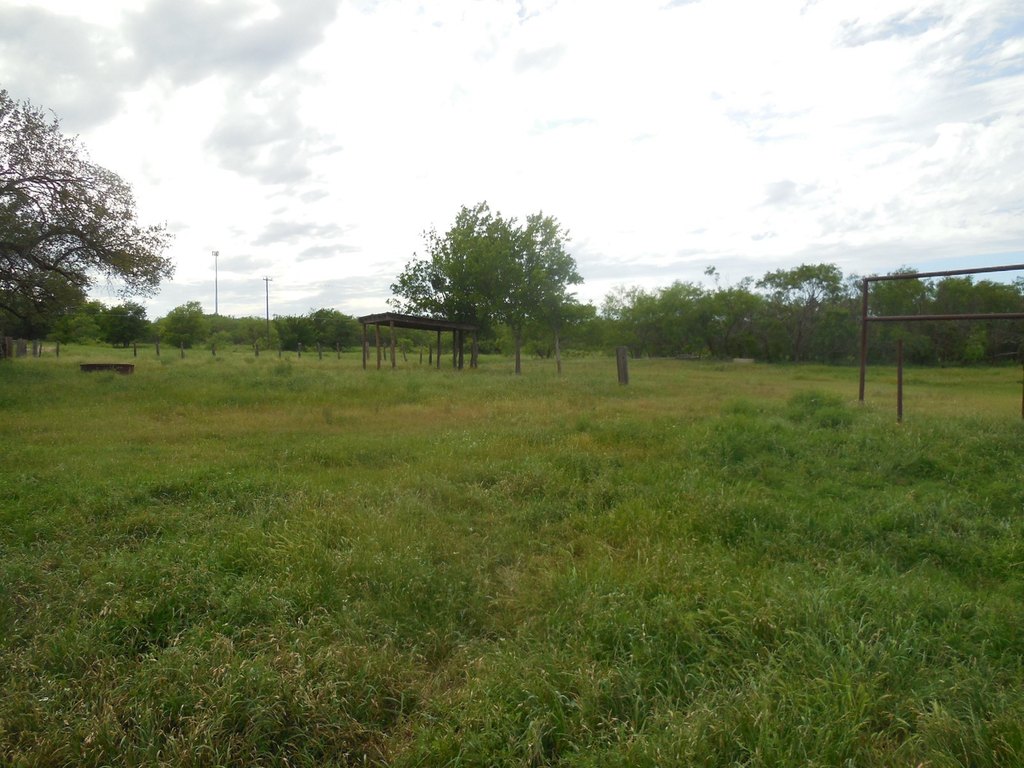 Picture 15