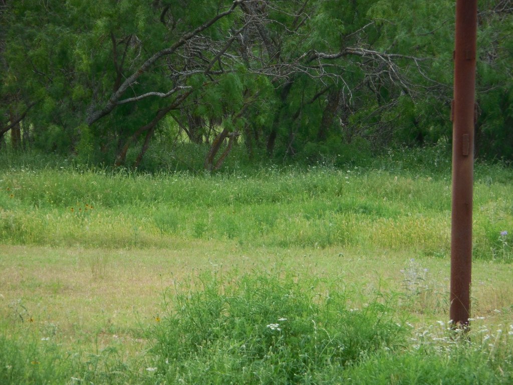 Picture 16