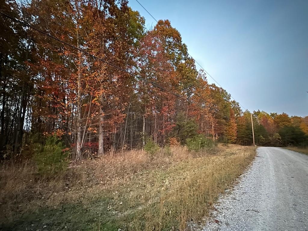 Picture 23
