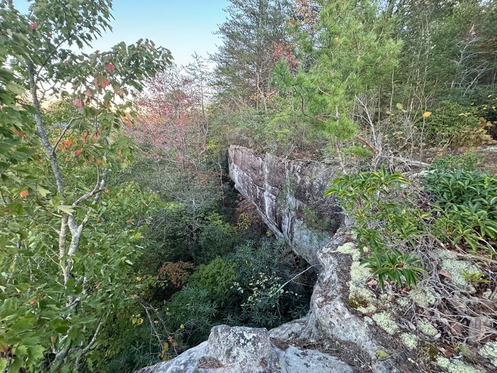 Picture 6