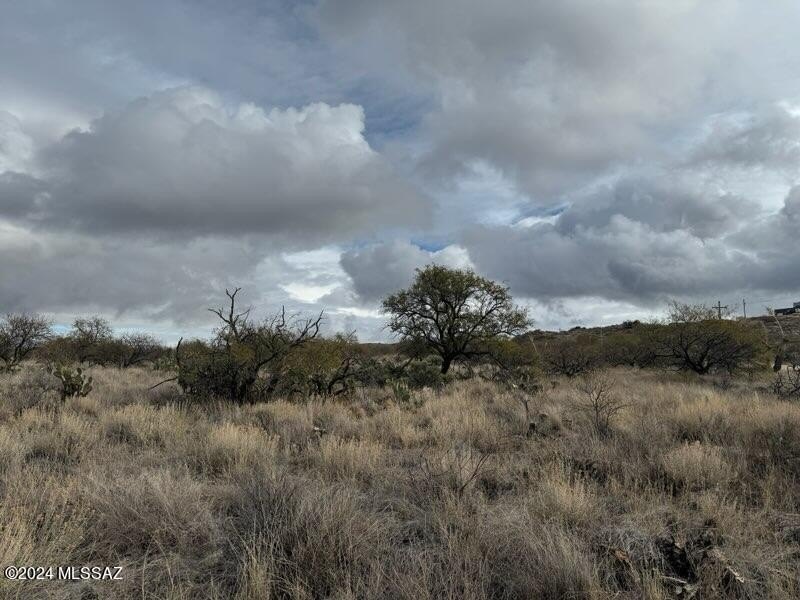 Picture 28