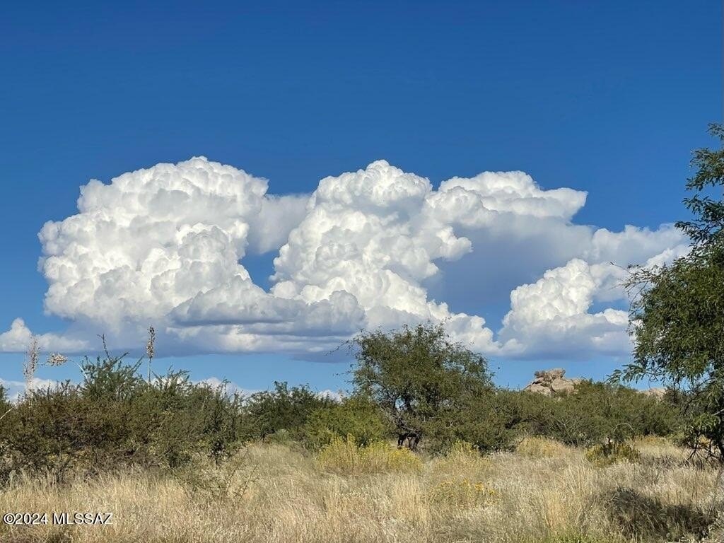 Picture 26