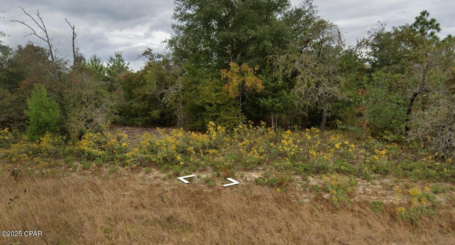 Prime Vacant Land Opportunity