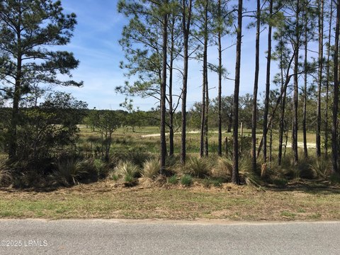 Hardeeville Estate Lot For Sale