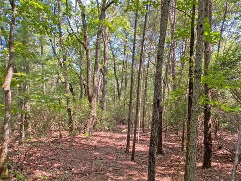 Land, Dahlonega, GA