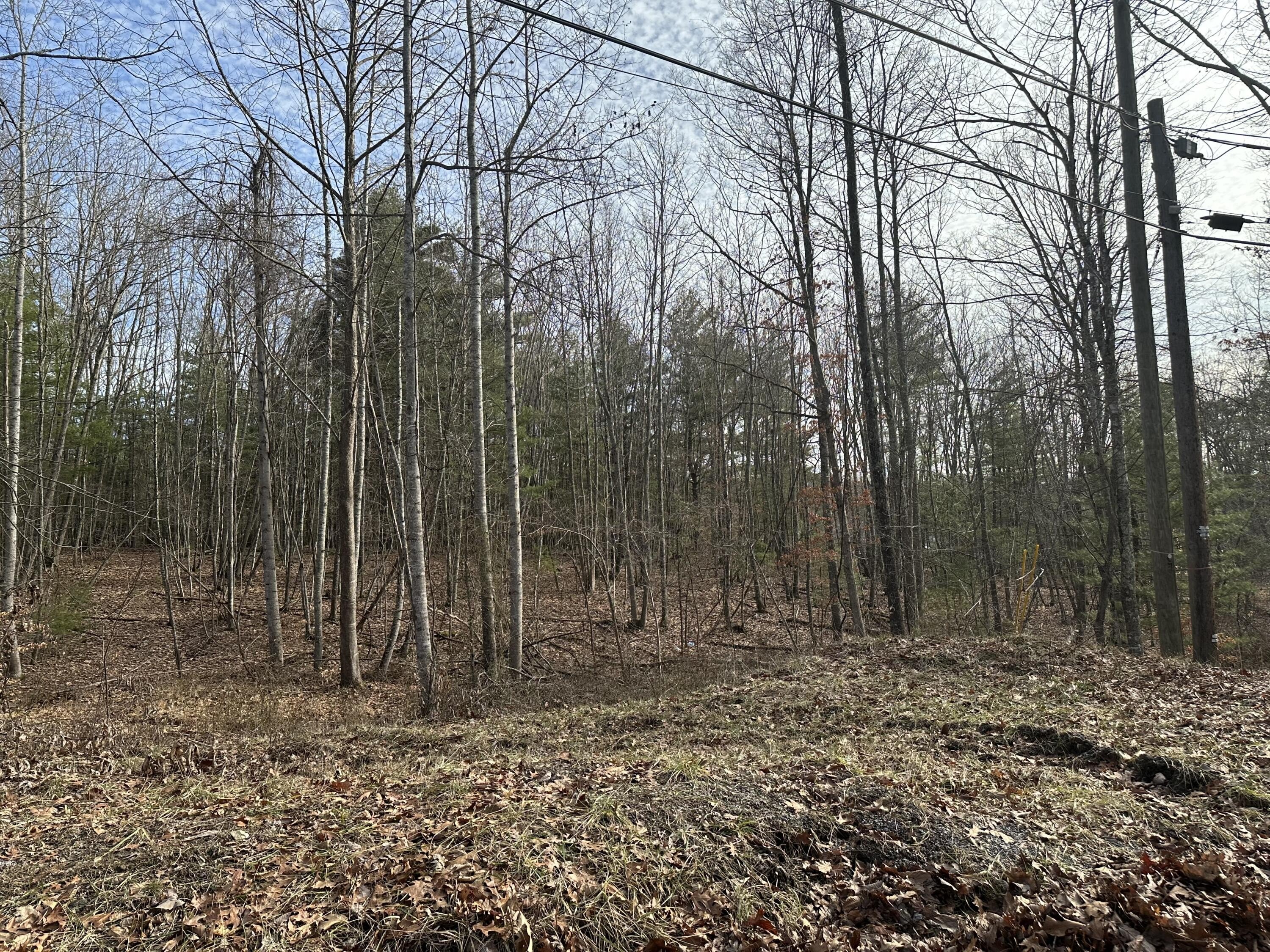 Wooded Land in Alderson, WV