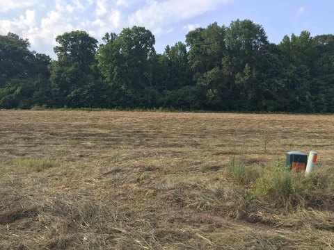 Residential Land Near Mound Lake