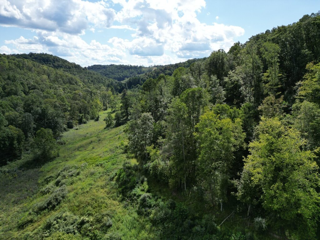 Picture 8