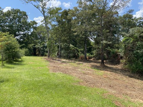 9.97 Acres in Collins, MS