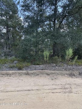 Residential Lot in Interlachen, FL