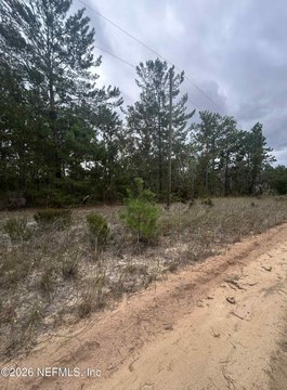 Residential Land Lot in Lake Lucy Shores