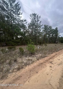 Residential Lot in Interlachen, FL