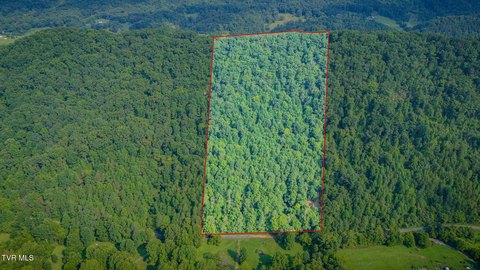 LAND - Rogersville, TN