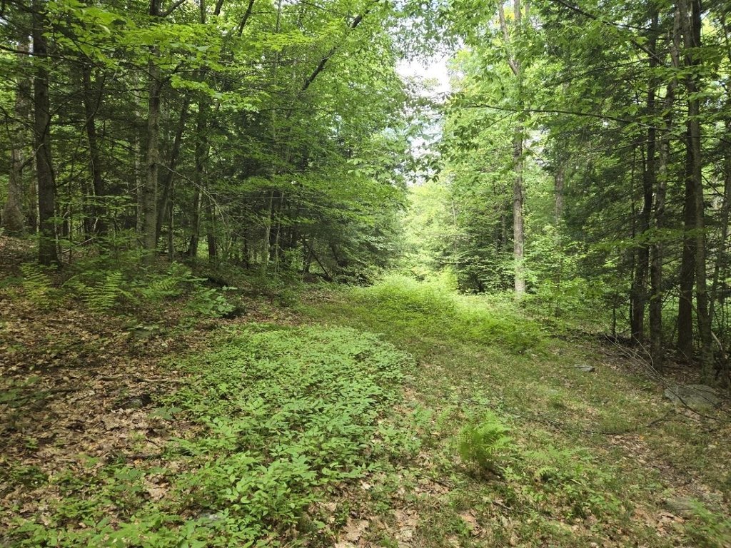 Picture 14