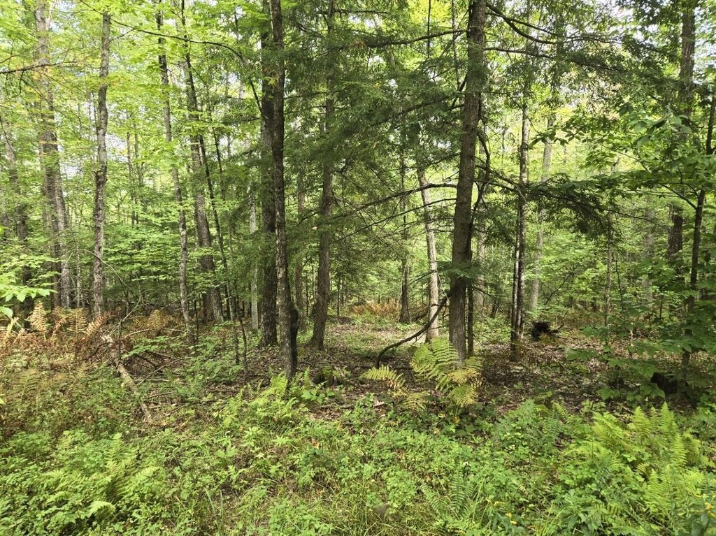 Picture 29