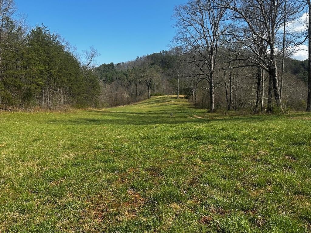 Otto, NC Land For Sale