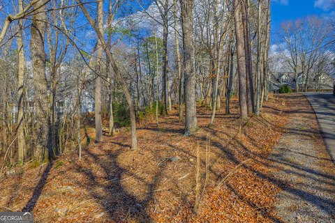 Ellijay, GA Land For Sale