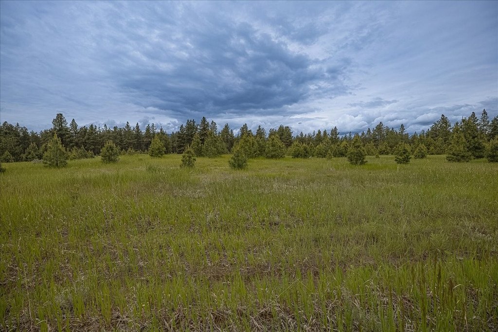 Picture 33