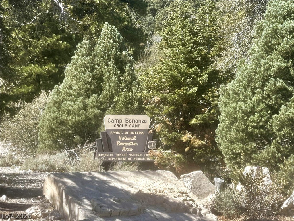 Picture 19
