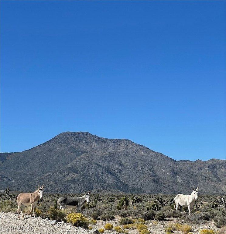 Picture 22