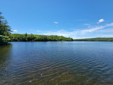 Waterfront Land Near Plymouth, Maine