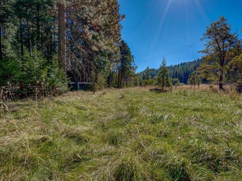 Land, Mount Shasta, CA
