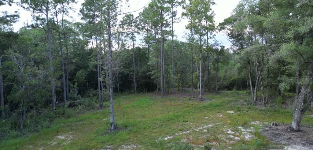 Picture 6