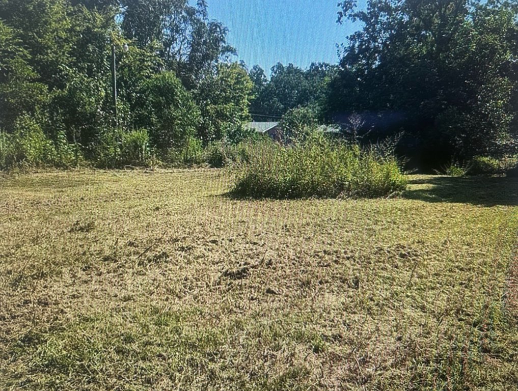 Picture 6