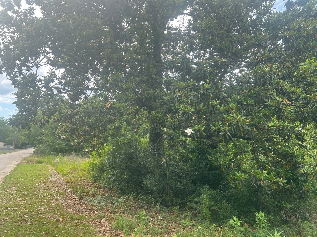 Picture 7