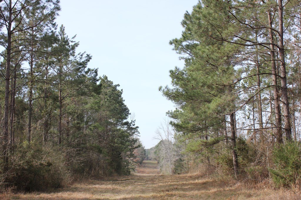 Picture 14