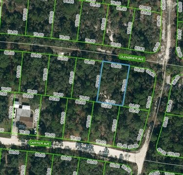 Residential Land in Lake Placid