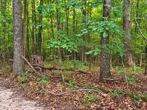 Unrestricted Agricultural Tract