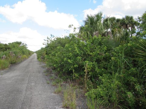 Land & Docks, Palm Bay, FL