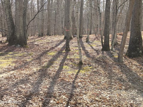Residential Land in Fawn Lake