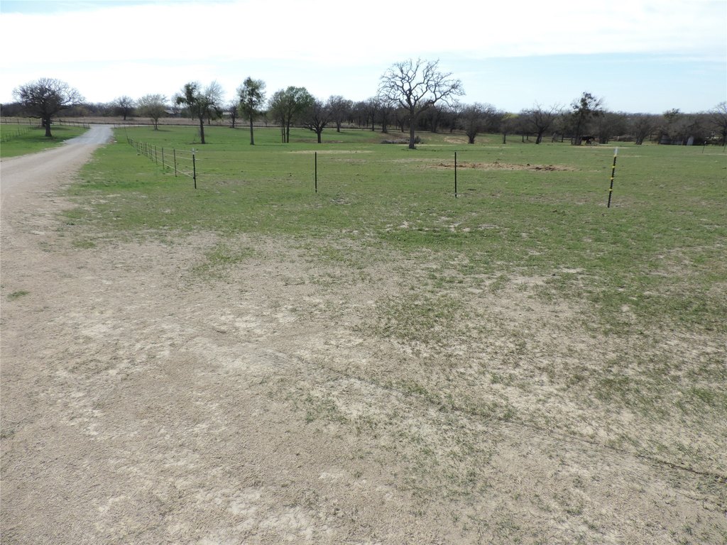 Picture 21